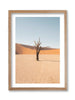 Deadvlei Dead End