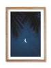 Blue Moon