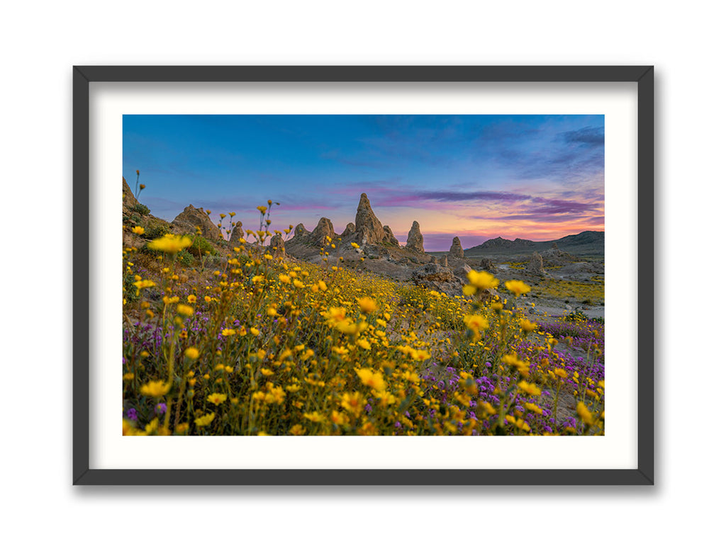 A framed artwork depicting a landscape with yellow wildflowers in the foreground and tall rock formations, known as the Trona Pinnacles, in the background against a pink and purple sky during sunset.