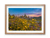 Wildflowers at the Trona Pinnacles