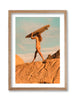 Joshua Tree Surf