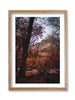 Discovering Yosemite