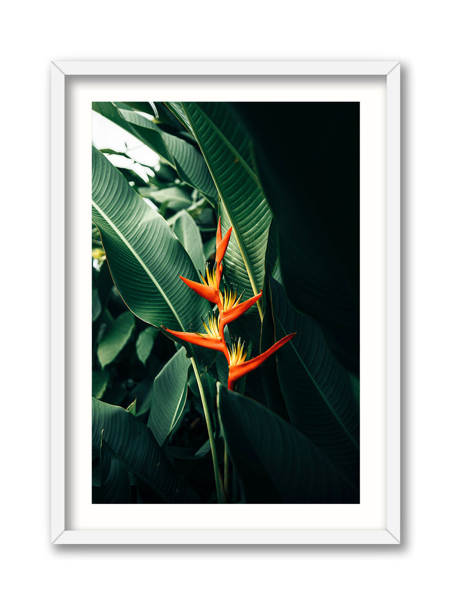  Birds　Dyynia DW-RYBO-018-XLWH_1200x1200.jpg