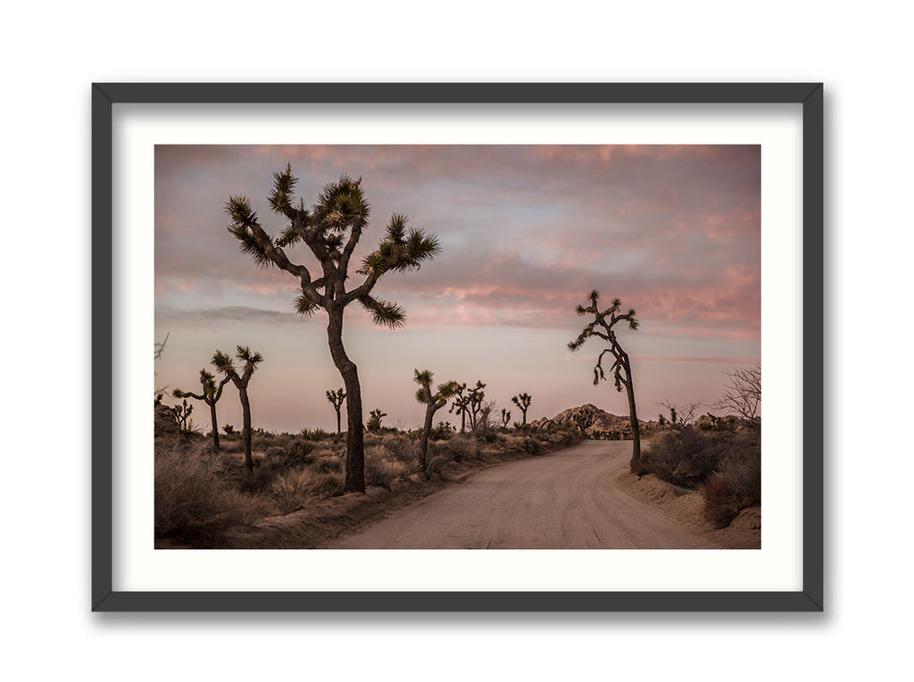 Road to Joshua Tree