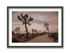 Road to Joshua Tree