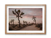 Road to Joshua Tree