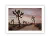 Road to Joshua Tree