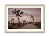 Road to Joshua Tree