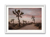 Road to Joshua Tree