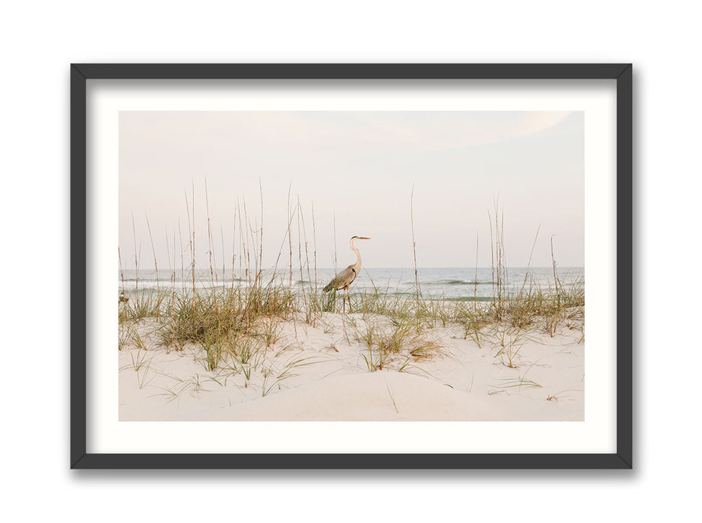Gulf Coast Local