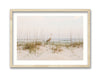 Gulf Coast Local