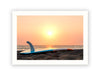 My Favorite Surfboard
