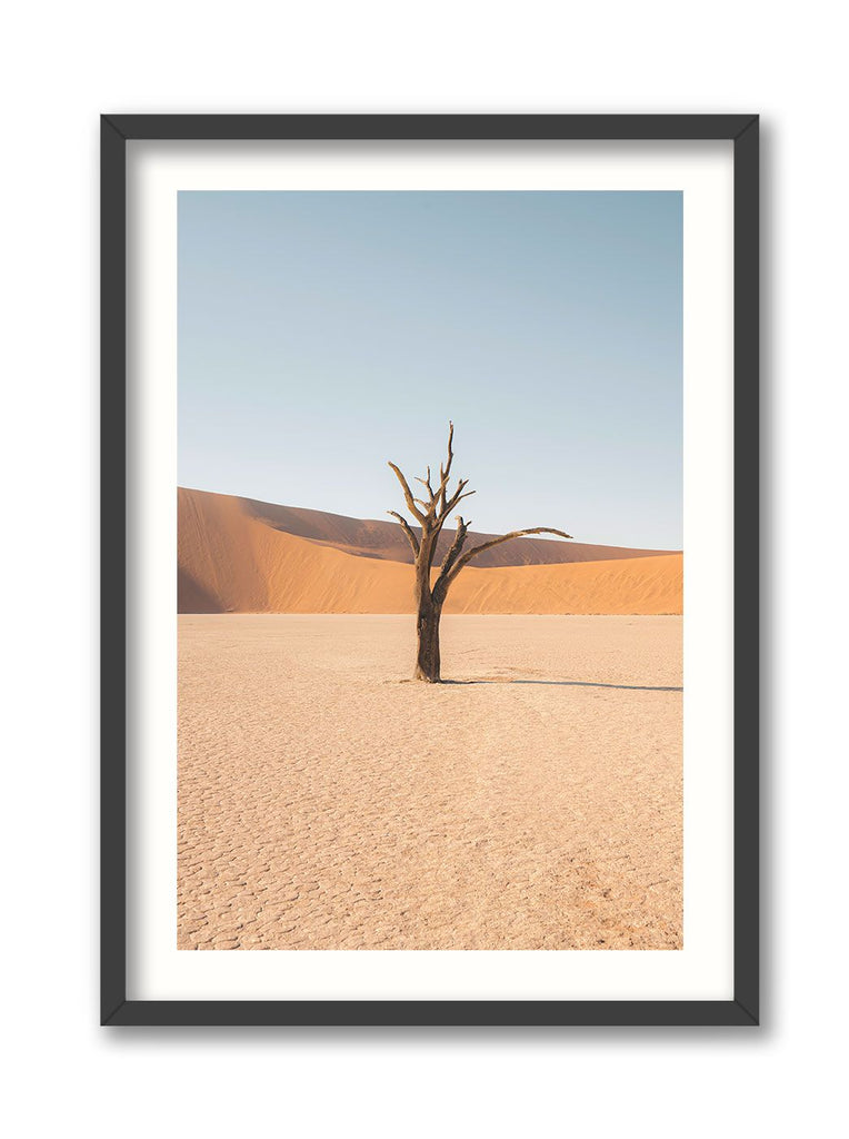 Deadvlei Dead End