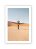 Deadvlei Dead End