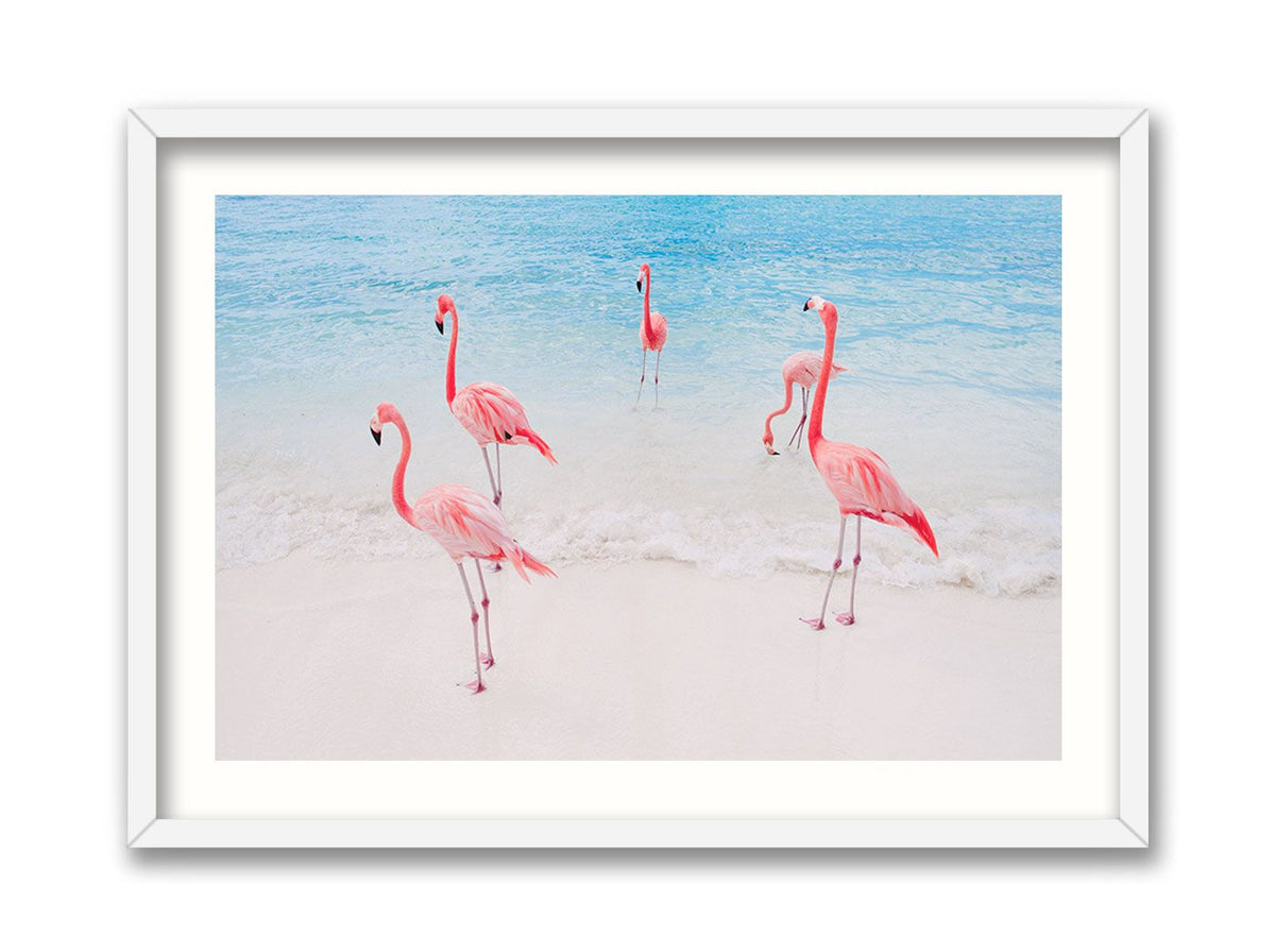 Aruba Flamingo Island – LOST DOG Art & Frame