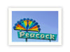 Peacock Market