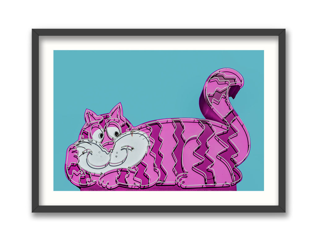 Pink Cat
