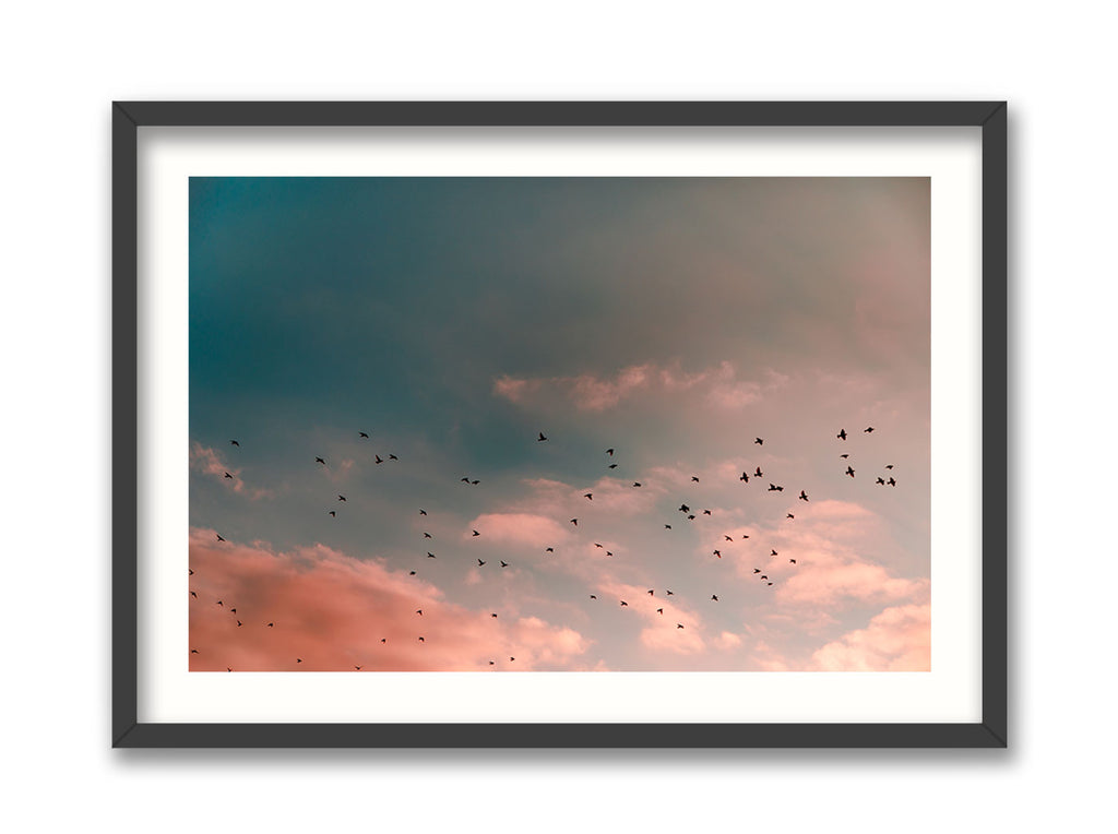 Migrating Sunset
