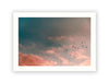 Migrating Sunset