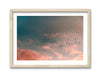 Migrating Sunset