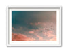 Migrating Sunset