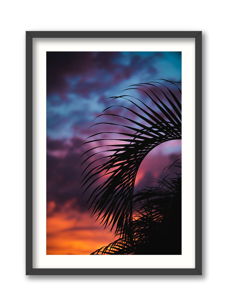 South Florida Morning