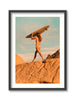 Joshua Tree Surf