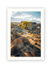 Alabama Hills Aspen