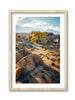 Alabama Hills Aspen