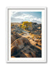 Alabama Hills Aspen