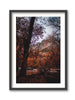 Discovering Yosemite