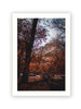 Discovering Yosemite