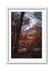 Discovering Yosemite