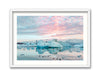 Birds of Jokulsarlon