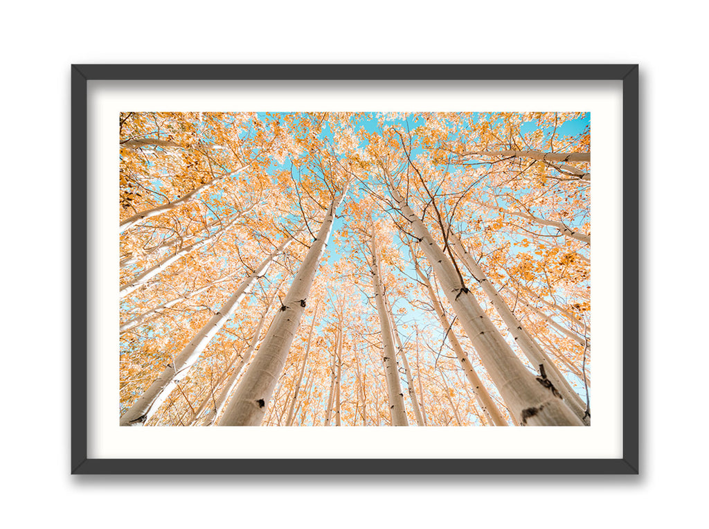 Fall Colors at Intake 2