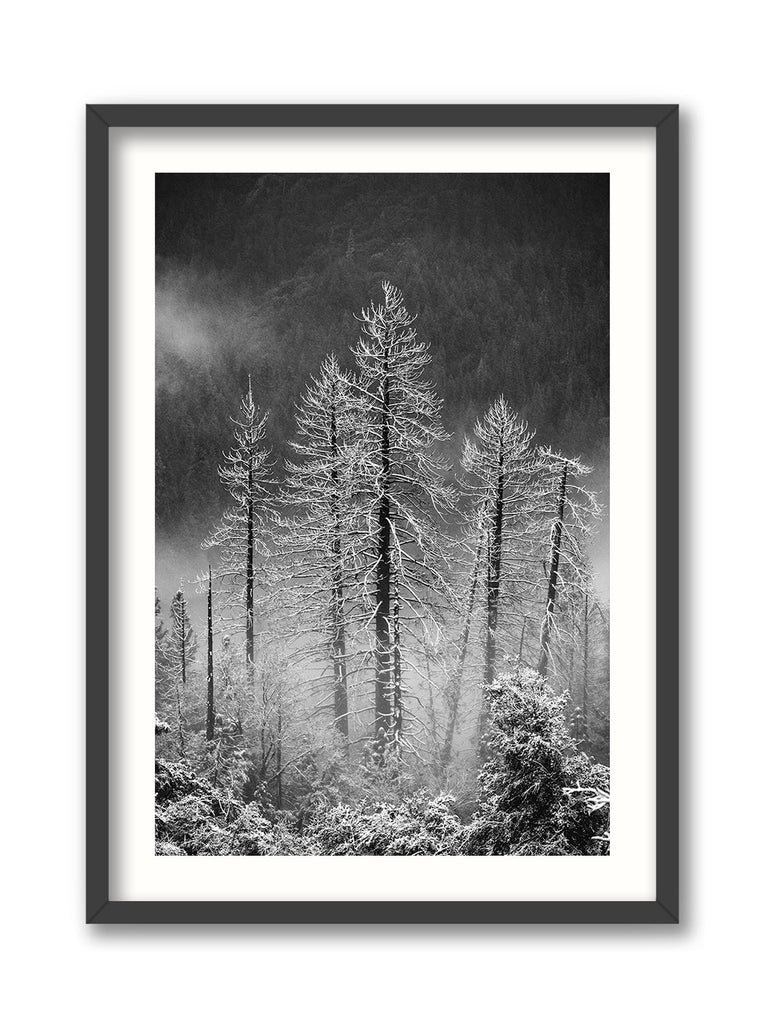 Winter Road, Yosemite
