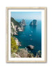 Timeless Capri