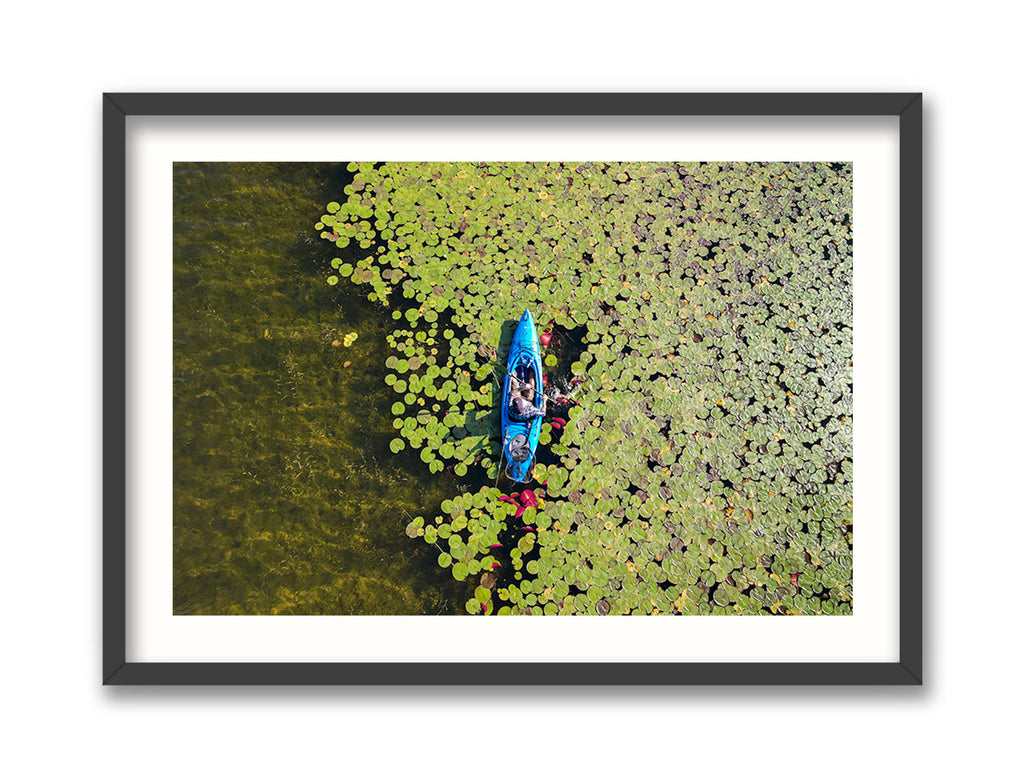 Susan Lake Lily Pads