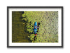 Susan Lake Lily Pads