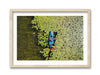 Susan Lake Lily Pads