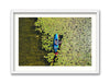 Susan Lake Lily Pads