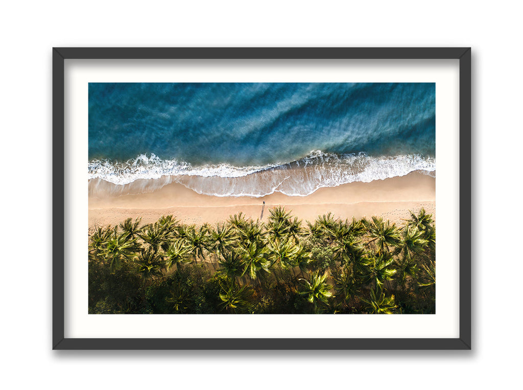 Aussie Tropics