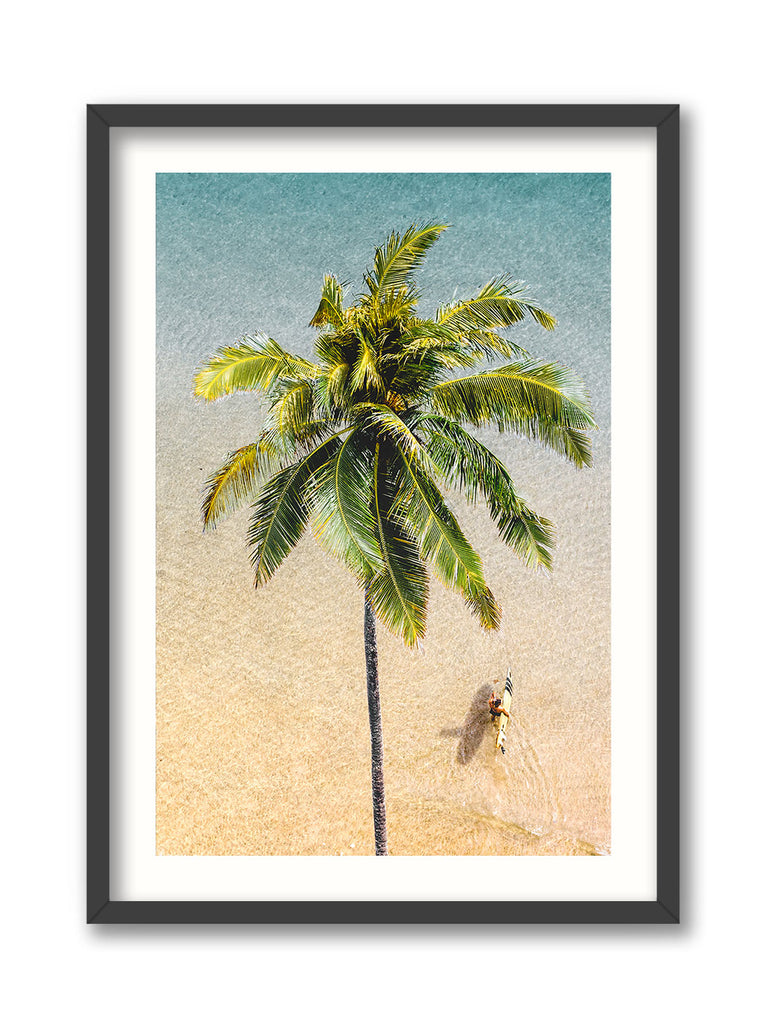Sideways Palm Tree