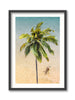 Sideways Palm Tree