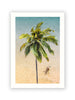 Sideways Palm Tree