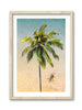 Sideways Palm Tree