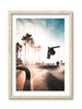Venice Skate Park Afternoon