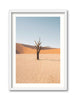 Deadvlei Dead End