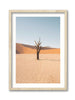 Deadvlei Dead End