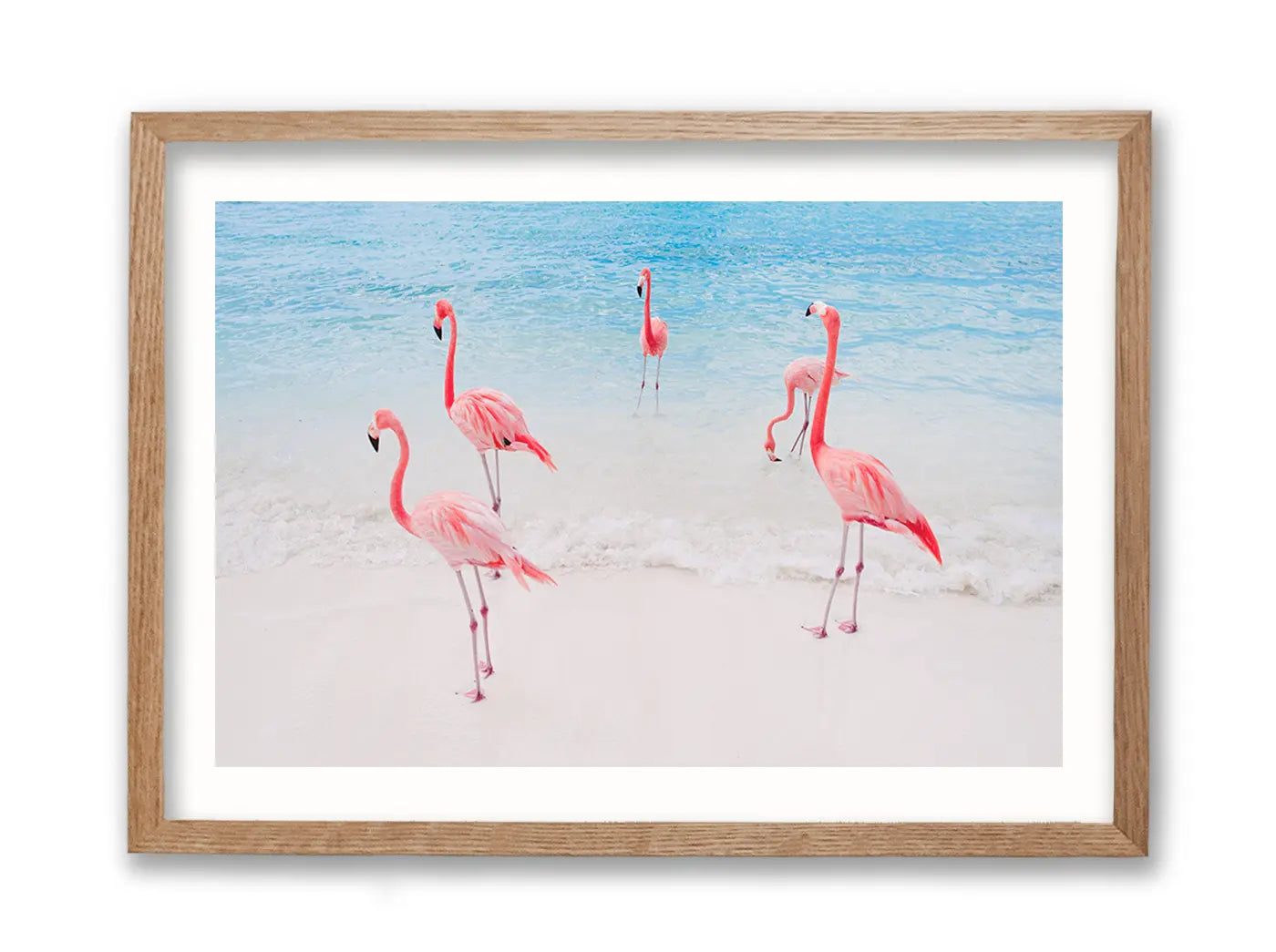 Flamingo Beach